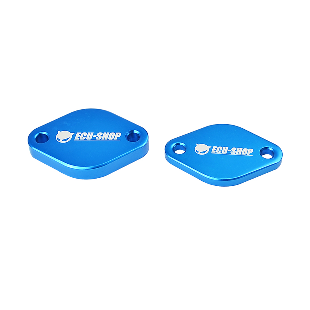 EGR Stopper Vigo 2004-2015