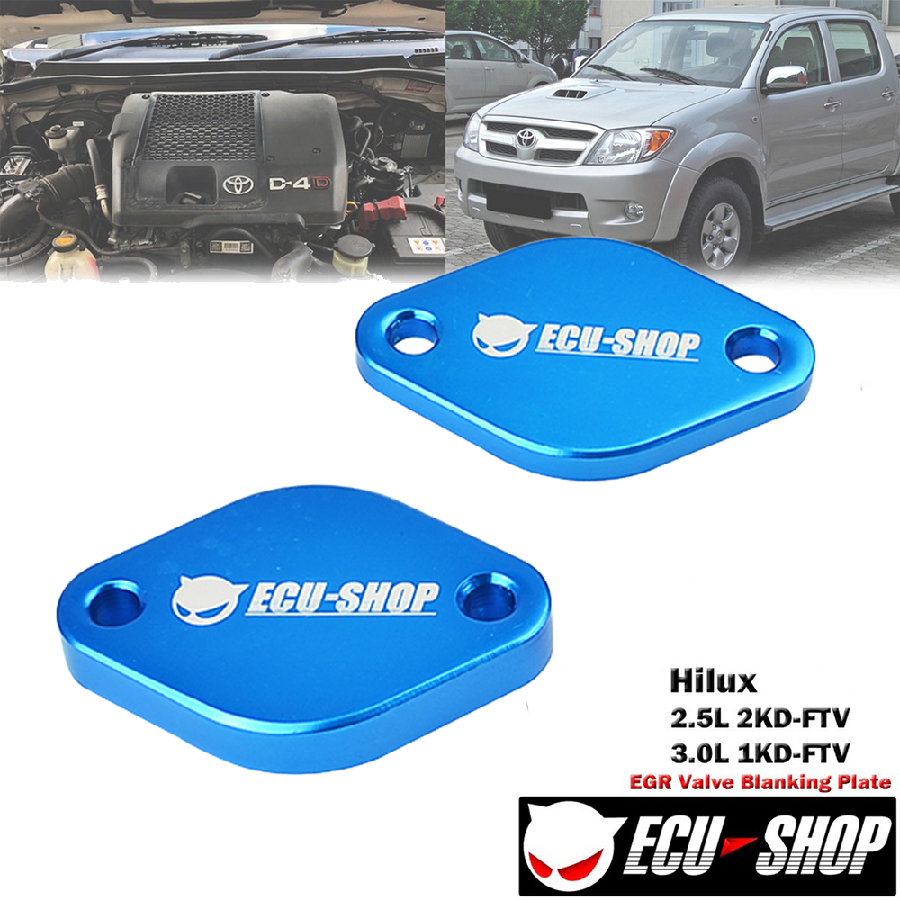 EGR Stopper Vigo 2004-2015