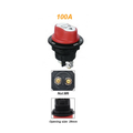 100A Battery Switch